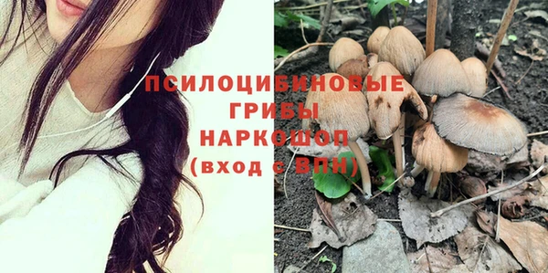 бутират Алзамай
