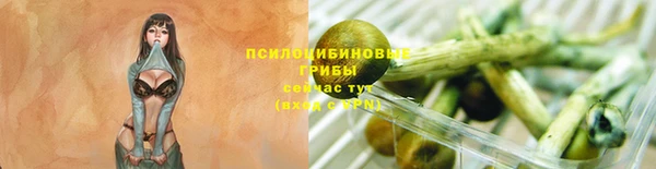 стаф Алексеевка