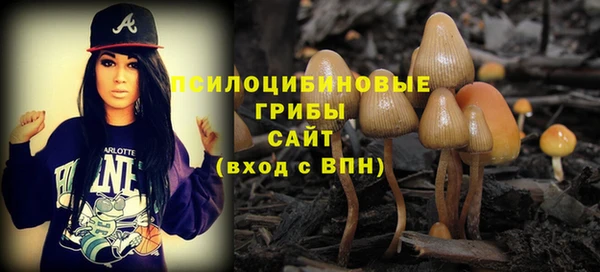 бутират Алзамай