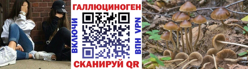 цены   Лермонтов  Галлюциногенные грибы ЛСД 